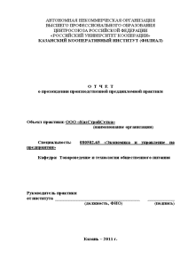 Отчёт по практике — Отчёт по практике на примере ООО КазСтройСетка — 1