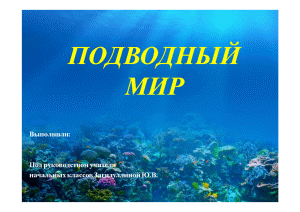 Презентация — Подводный мир — 1