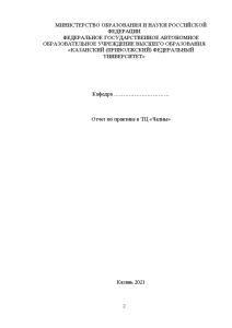 Отчёт по практике — Отчет по практике в ТЦ «Челны» — 1