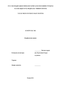 Контрольная — Анализ текста (татарский язык): Бу вакытта Мозаффар и т.д. — 1