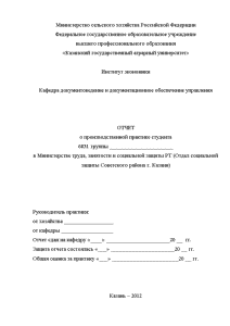 Отчёт по практике — Отчет по пратике на примере Министерства труда, занятости и социальной защиты — 1