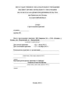 Отчёт по практике — Отчёт по практике в ИП Гаврилов В.С., ГОК «Регина» г. Казань — 1