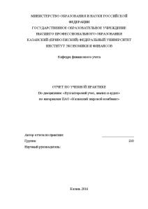Отчёт по практике — Отчет по учебной практике по материалам ПАО «Казанский жировой комбинат» — 1