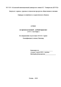 Отчёт по практике — Отчет по учебной практике (на примере ООО 