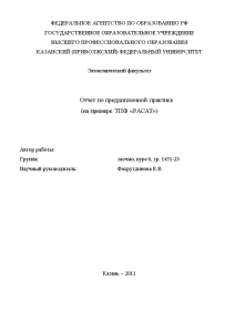 Отчёт по практике — Отчет по преддипломной практике (на примере ТПФ «РАСАТ») — 1