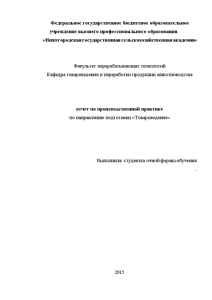 Отчёт по практике — Отчет по производственной практике на примере ООО «ФЛАГМАН» — 1