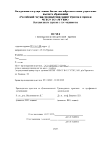 Отчёт по практике — Отчет по производственной практике (Место прохождения практики ООО «INFINITY GLOBAL») — 1