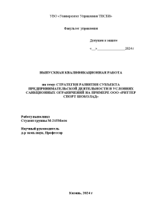 Магистерская диссертация — Стратегия развития субъекта предпринимательской деятельности в условиях санкционных ограничений на примере ООО — 1