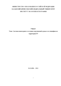 Курсовая — Система мониторинга состояния окружающей среды и ее специфика на территории Республики Татарстан — 1