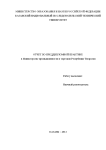Отчёт по практике — Отчёт по практике в Министерстве промышленности и торговли Республики Татарстан — 1