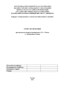 Отчёт по практике — Отчет по преддипломной практике на ООО Лента (г. Набережные Челны) — 1