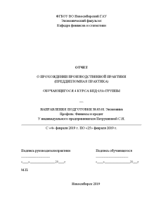 Отчёт по практике — Отчет по преддипломной практике на примере ИП Петрушкина — 1