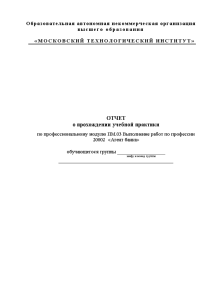 Отчёт по практике — Отчет по учебной практике ПМ.03. Выполнение работ по профессии 
