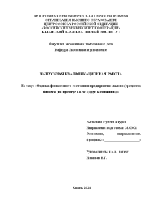 Бакалаврская — Оценка финансового состояния предприятия малого (среднего) бизнеса (на примере ООО «Друг Компании») — 1