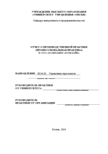 Отчёт по практике — Отчет по производственной (профессиональной) практике на примере компании 