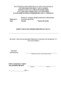 Дипломная — Стратегия продвижения банковского продукта (на материалах АО «Россельхозбанк») — 1