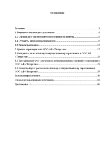 Реферат: Учет расчетов по имущественному и личному страхованию