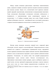 Курс «Сестринское дело в хирургии, в объеме часов» | Заказать в учебном центре «КОМПиЯ»