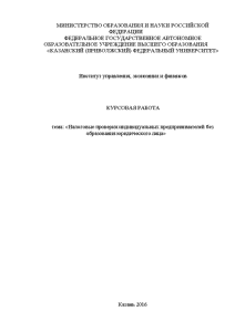 Курсовая — Налоговые проверки индивидуальных предпринимателей без образования юридического лица — 1