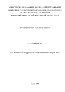 Курсовая — Механизмы и инструменты бюджетирования в ООО «Энергия-Лифт» — 1