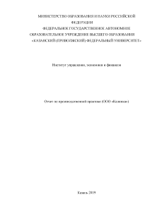 Отчёт по практике — Отчет по производственной практике (ООО «Калинка») — 1