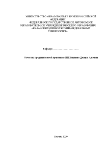 Отчёт по практике — Отчет по преддипломной практике в ИП Итилаева Диляра Алиевна — 1