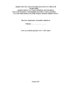 Отчёт по практике — Отчет по учебной практике ООО «СПК Амик» — 1