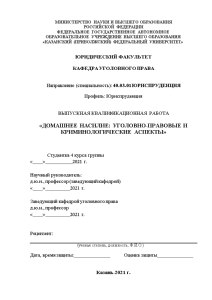 Дипломная — Домашнее насилие: уголовно-правовые и криминологические аспекты — 1