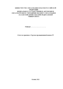 Отчёт по практике — Отчет по практике в Торгово-промышленной палаты РТ — 1