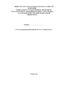 Отчёт по практике — Отчет по преддипломной практике по ООО «Рыбное место» — 1