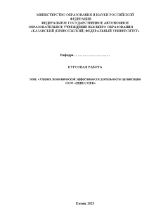 Курсовая — Оценка экономической эффективности деятельности организации ООО «НИИ СОКБ» — 1