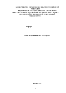 Отчёт по практике — Отчет по практике в ООО «Альфа-М» — 1