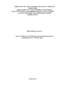 Дипломная — Разработка и обоснование стратегии развития малого предприятия ООО «Medion Clinic» — 1