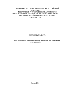 Дипломная — Разработка концепции сайта организации и его продвижение ООО «БиБьюти» — 1