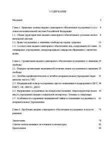 Контрольная работа по теме Медико-санитарное обеспечение осуждённых