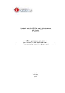 Отчёт по практике — Отчет по преддипломной практике на примере ПАО 