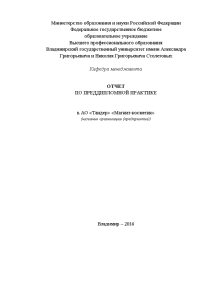 Отчёт по практике — Отчет по преддипломной практике на примере АО «Тандер» «Магнит-косметик». Формирование и — 1