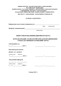 Бакалаврская — Использование технологий SMM для продвижения товара на примере компании 