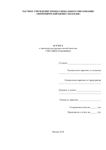 Отчёт по практике — Отчет о прохождении преддипломной практики в ГБУ ТЦСО «Сокольники» — 1
