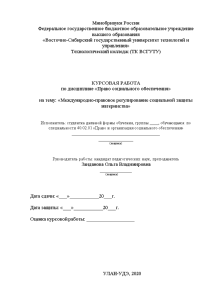 Курсовая — Международно-правовое регулирование социальной защиты материнства — 1